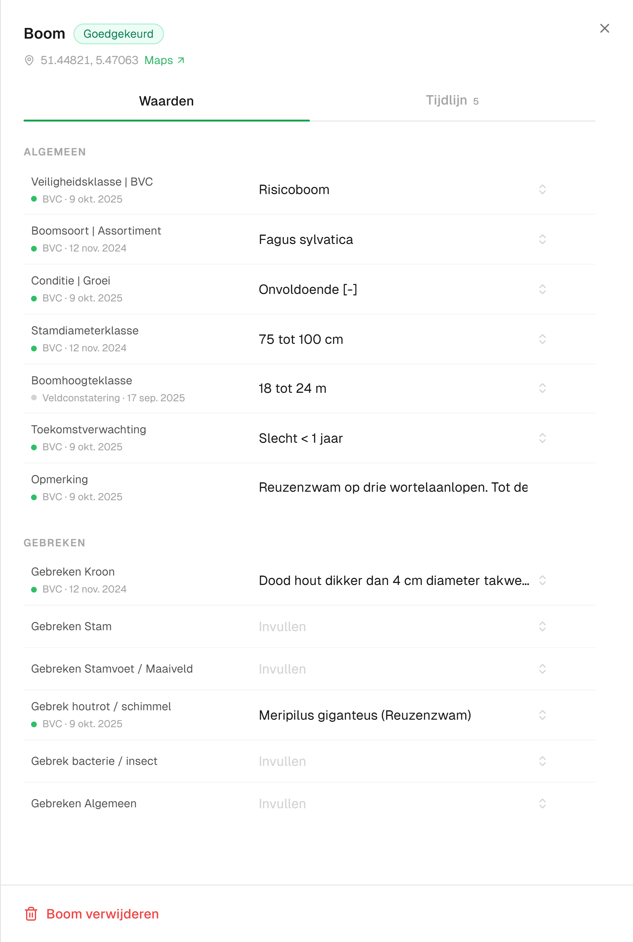 Het boomdossier op het tabblad Waarden: een goedgekeurde beuk met coördinaten, de groepen Algemeen en Gebreken uit het BVC-model, en onder elke waarde de herkomst, zoals BVC, 9 oktober 2025 of Veldconstatering, 17 september 2025.